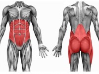CoreBodyFrontBack