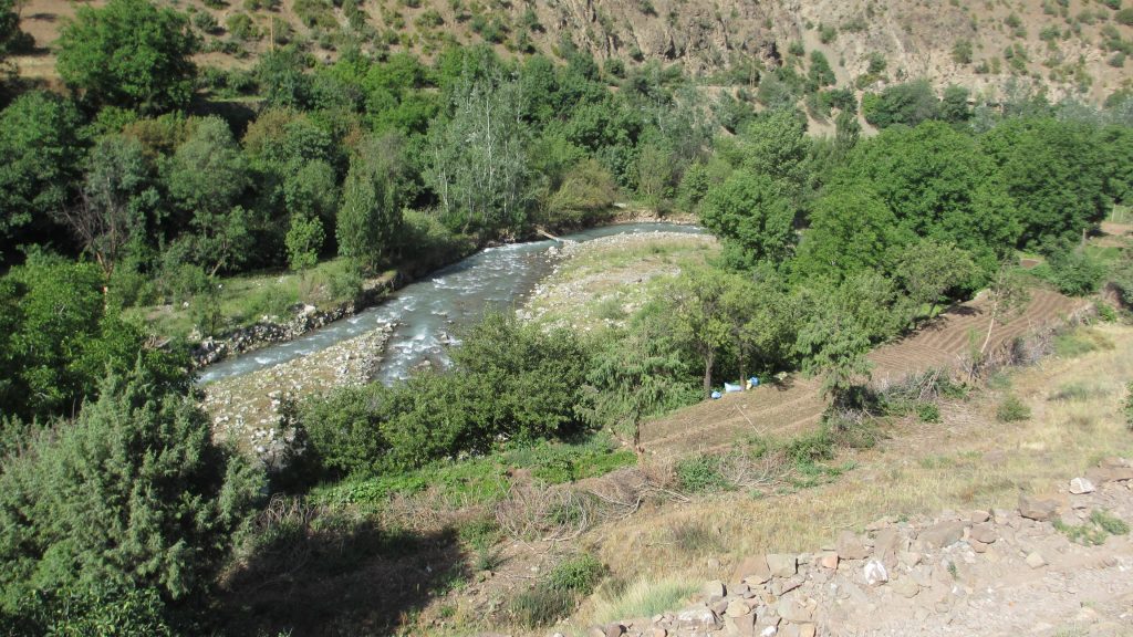 Huerta en Taghia