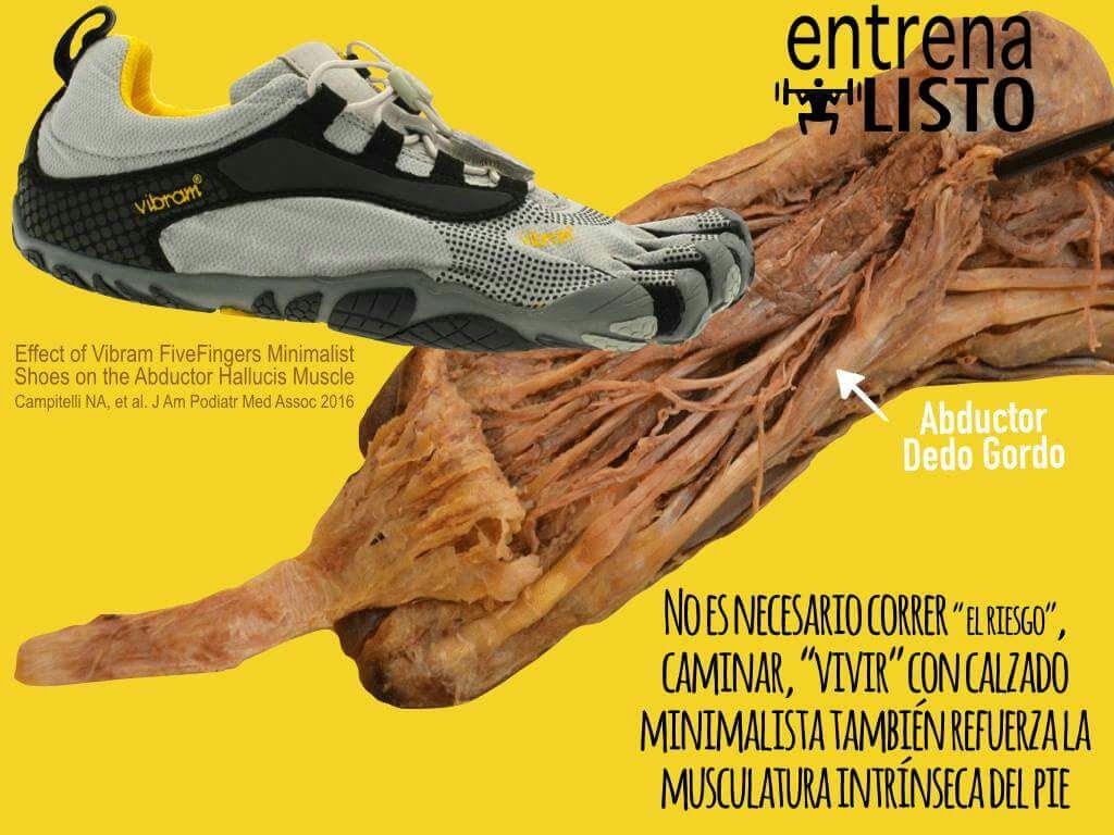 vibram-fivefinger-bikila-mejora-musculatura-pie