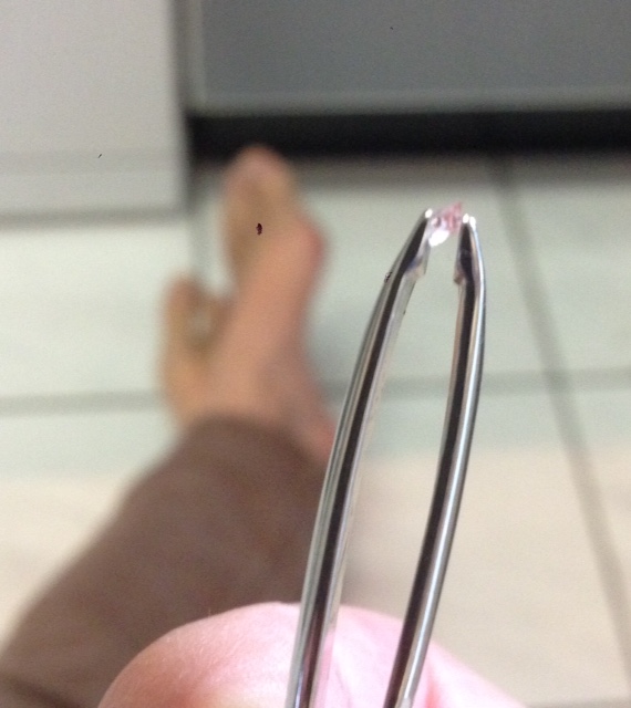 FullSizeRender.jpg