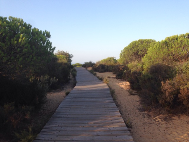 Image-1.jpg