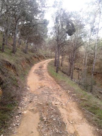 20170305_091508.jpg