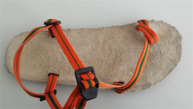 20140814_181500.jpg