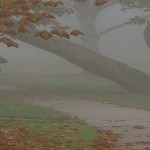 correr-en-niebla_slider