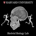 Harvard Skeletal Biology