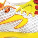 Newton_shoe
