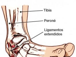 esguinces de tobillo anatomía