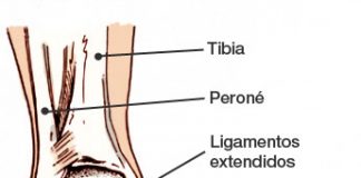 esguinces de tobillo anatomía