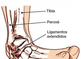 esguinces de tobillo anatomía