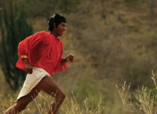 tarahumara corriendo