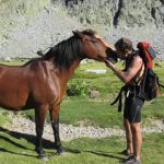 Titin Circos de Gredos con caballo