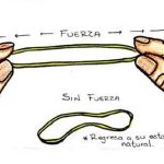fuerza elacticidad