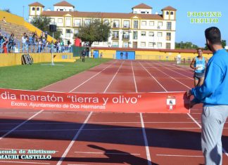 Media Maraton Tierra y Olivo 2014