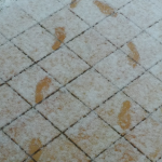 Correr descalzo en diferentes terrenos